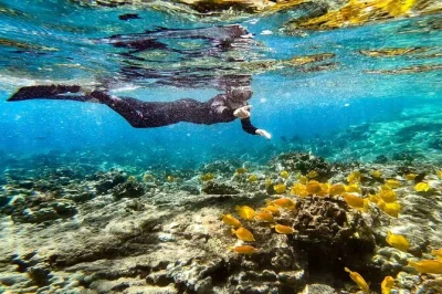 Feel the thrill of snorkeling kona’s kealakekua & honaunau bays, spot tropical fish, and hear island stories from your guide. includes gear, snacks, and drinks.