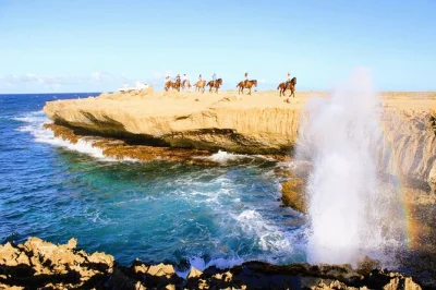 Scopri la costa nord selvaggia di aruba a cavallo—tra cactus, rovine di vecchi mulini d’oro e spiagge ventilate. gruppi piccoli, guida locale e pick-up in hotel inclusi.