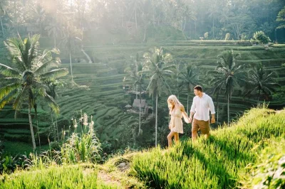 Erlebe ubud hautnah bei einer privaten tagestour mit hoteltransfer – schlendere durch den affenwald, schwing dich über die reisterrassen, entdecke den tirta empul tempel & den tegenungan wasserfall