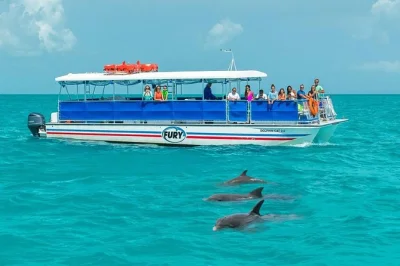 Em key west, veja golfinhos de perto, faça snorkel na wildlife refuge e relaxe com bebidas a bordo de um catamarã—equipamento, guia e refrigerantes inclusos.