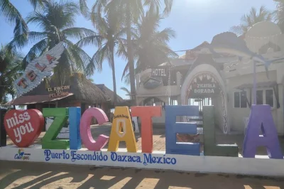 No crowded buses, just a private ride from oaxaca to puerto escondido with hotel drop-off, bottled water, and an easy start—includes pickup and all fees.