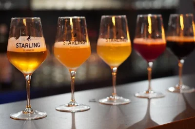 Meet strasbourg’s craft beer scene with a bartender-led tasting, five local brews, and snacks in a city center bar. includes english guide and happy hour access.