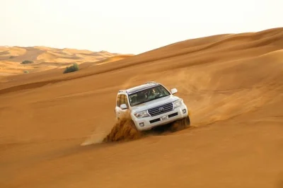 Feel the thrill of dubai’s desert safari with dune bashing, camel rides, and a bbq buffet dinner. includes hotel pickup, live shows, and family-friendly extras.