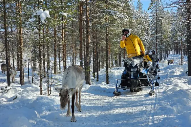 Safari motoneige à Storforsen au cœur de la nature suédoise