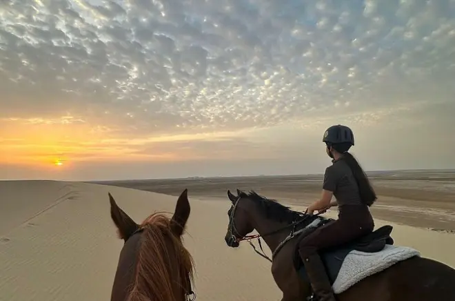 Arabian Horseback Riding in Doha: Desert Trails with Transfers
