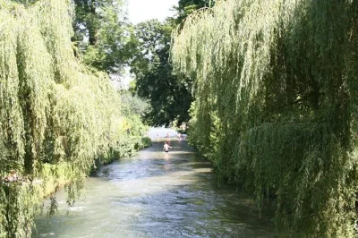 Start am marienplatz mit glockenspiel, schlendere durch münchens altstadt, probiere leckereien am viktualienmarkt und erlebe die eisbach-surfer im englischen garten – alles mit lebendigem guide.