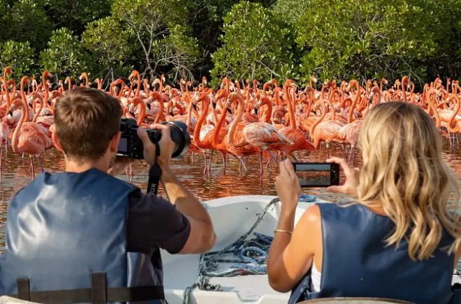 Rio Lagartos Flamingo- und Krokodil-Safari mit privatem Boot