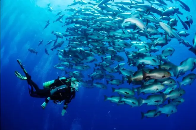 Plongée avancée PADI open water 2 jours à Sharm el Sheikh