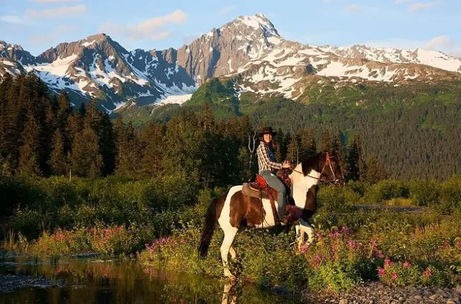 Horseback Riding in Seward: Bald Eagles and Resurrection Bay