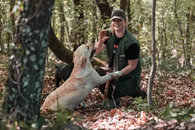 Begleite trüffelhunde im motovuner wald, probiere istrische trüffelgerichte und koche mit der familie karlić – inklusive frühstück, mittagessen und regionalem wein.