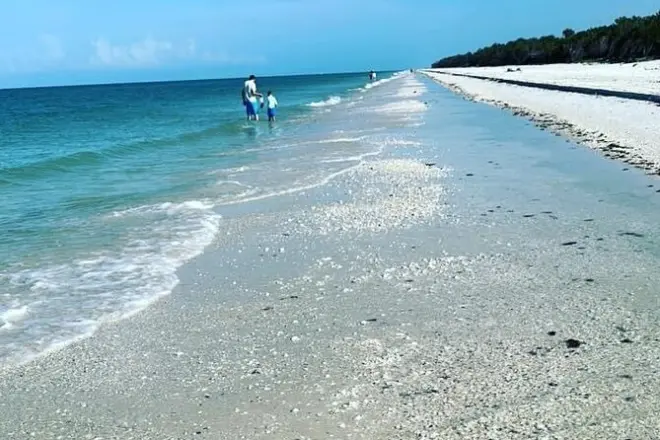 Keewaydin Island Shelling Tour Naples: Private Boat & Beach