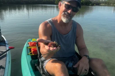Erkunde bonita springs’ mangroven-tunnel in hochwertigen glasklaren kajaks, entdecke delfine und manatis, entspanne an einem versteckten strand und genieße profi-guides mit fotos inklusive.