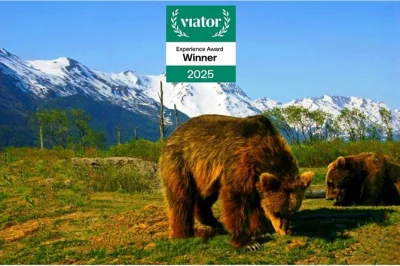 Découvrez l’alaska sauvage lors d’une sortie en petit groupe depuis anchorage : glaciers, faune au centre de conservation, et déjeuner à girdwood. prise en charge incluse.