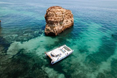 Navega desde albufeira por la costa del algarve, descubre las cuevas de benagil, nada en calas escondidas y disfruta de un almuerzo fresco a bordo con bebidas y tripulación experta.