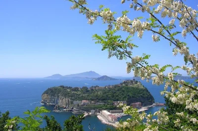 Feel the buzz of sorrento’s streets, wander positano’s alleys, and catch ravello views—includes pickup from naples port, air-conditioned ride, and local guide.