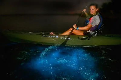 Kayak florida’s indian river at night with a local guide, watch glowing waters swirl around your paddle, and see bioluminescence up close. includes gear & snacks.