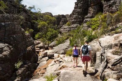 Feel the wild spirit of the grampians on a small-group day trip from melbourne, with guided hikes, waterfalls, local stories and hotel pickup included.