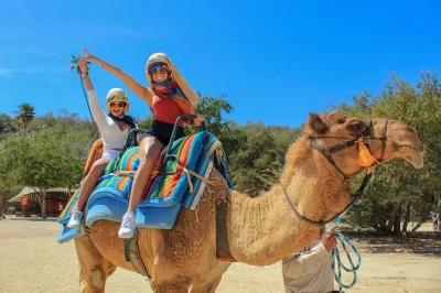 Los cabos el tule canyon: kamelritt mit guide, tierbegegnungen, wasserrutschen und leckere snacks – perfekt für familien und naturfans.