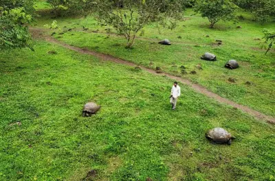 Tortues géantes et tubes de lave à Santa Cruz dans les Galápagos