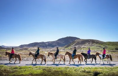 Disfruta de un paseo a caballo con caballos islandeses en campos de lava cerca de reykjavik. recogida, equipo y bebida caliente incluidos. grupos pequeños y guías locales para todos los niveles.