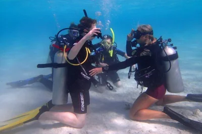 Entdecke arubas unterwasserwelt bei einem privaten tauchgang für einsteiger – bunte riffe, sanfte wracks und ein geduldiger lokaler tauchlehrer. inklusive abholung und kompletter tauchausrüstung.