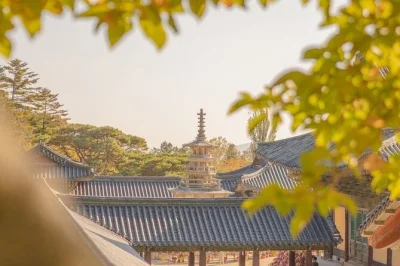 Entdecke gyeongju auf einer privaten tour: bulguksa-tempel, seokguram-grotte, königsgräber, museum und ein authentisches koreanisches mittagessen inklusive abholung.