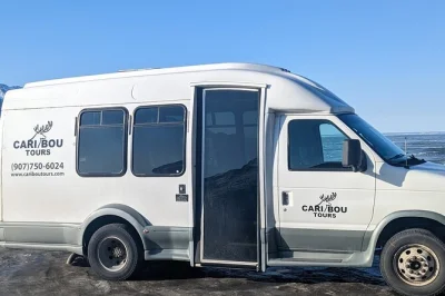 Découvrez turnagain arm avec un guide local : observez la faune d’alaska de près, marchez sous les glaciers et savourez un déjeuner en forêt à girdwood. entrée incluse.