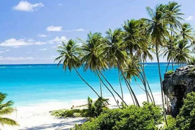 Feel the salty breeze on a full-day barbados coast to coast tour, from bridgetown’s history to the wild atlantic cliffs, with bajan lunch and hotel pickup included.