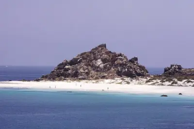 Réserve des manchots Humboldt : Rando à Isla Damas et navigation