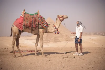 Erlebe die alten welten von giza, memphis, saqqara & dahshur bei einer privaten tagestour ab kairo. inklusive hoteltransfer, eintritt und mittagessen mit lokalem guide.