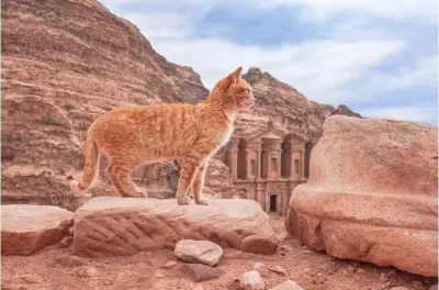 Reiten in Petra: Von Klein-Petra zum Kloster