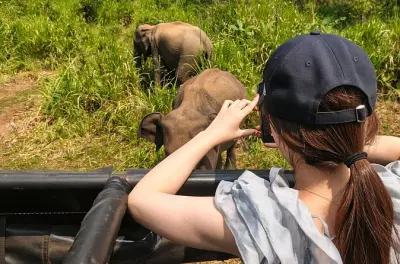 Safari elefanti nel parco di Minneriya: Ammira la grande riunione