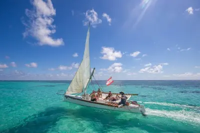 Snorkel em Moorea: Arraias, tubarões e jardim de corais