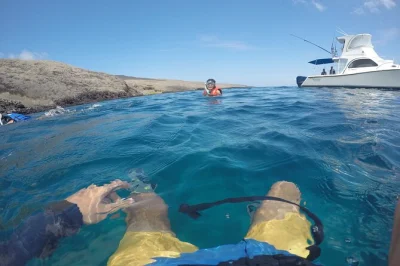 Swim with sea lions, spot blue-footed boobies, and explore volcanic tunnels on a guided snorkeling tour at tuneles & cabo rosa, isabela island.