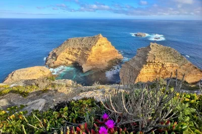 Wake up to wild emus, taste port lincoln’s freshest seafood, and spot koalas among the gums. includes hotel pickup, lunch, and local stories along the way.