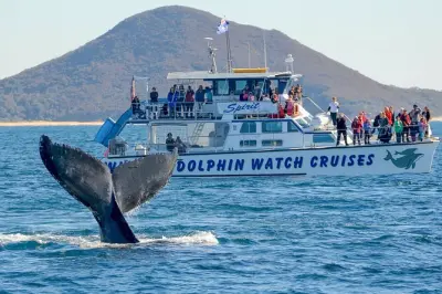 Port Stephens depuis Newcastle : Baleines, randonnée et dunes