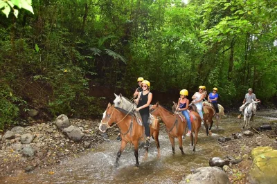 Cabalga por la selva de costa rica y luego avista fauna en un paseo en barco por el río tárcoles. excursión perfecta para pasajeros de cruceros cerca de puntarenas.