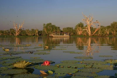 Watch saltwater crocodiles at dusk, spot rare birds, and cruise mary river wetlands on a relaxed sunset tour from darwin. includes live guide and open-air boat.
