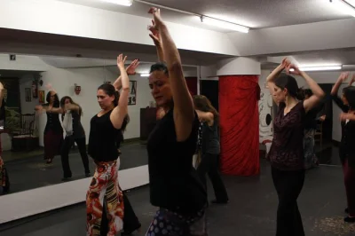San sebastian flamenco privat erleben: lerne rhythmen, geschichte und tanzschritte mit einer erfahrenen lehrerin – für alle levels und flexible zeiten.