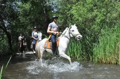 Paseo a caballo en Fethiye: Bosques de pino y baño en río