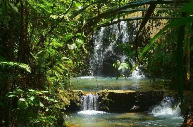 Private Tour in Suva: Design Your Own Itinerary