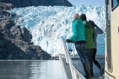 Partez de seward pour une croisière en petit groupe dans les kenai fjords, à la découverte des glaciers reculés, observation des baleines et oiseaux marins. déjeuner et commentaires inclus.