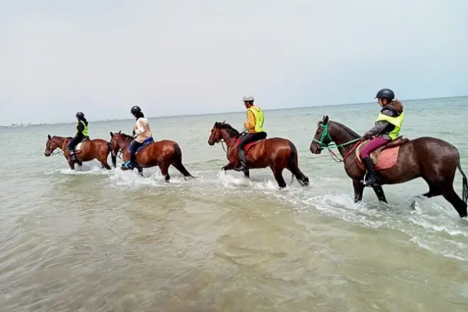 Horseback riding in Monastir with private transfer