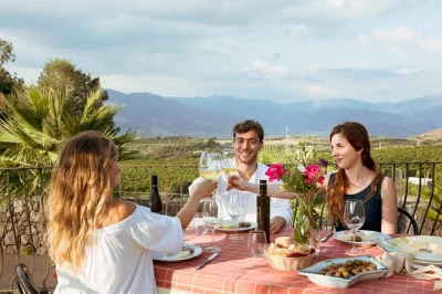 Deguste vinhos do etna e comida orgânica da sicília em um tour pelo campo saindo de taormina, com guia local, visitas a vinícolas familiares e traslado incluso.