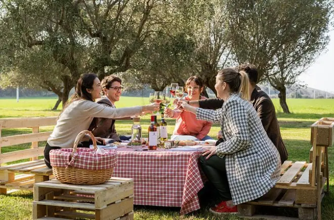 Picnic among Olive Trees in Abruzzo: Wine & Local Food