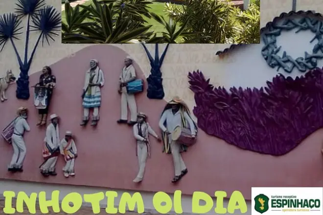 Inhotim tour from Belo Horizonte: Full day with specialist guide