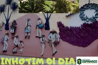 Inhotim da Belo Horizonte: Giornata intera con guida esperta