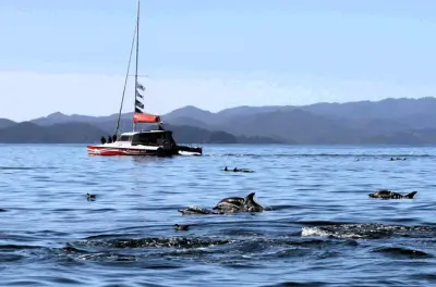 Bay of Islands sailing cruise in Paihia: Help set the sails
