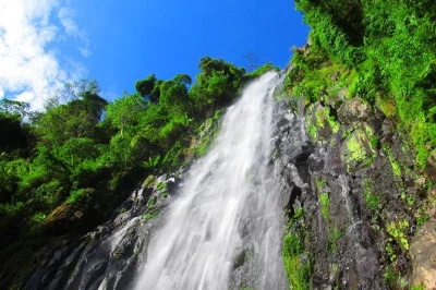 Private day trip from arusha: hike materuni waterfall, taste local coffee, relax at kikuletwa hot springs, and visit a maasai boma. all transfers included.
