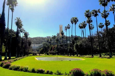 Feel the pulse of algiers and constantine on a private 4-day tour—wander the casbah, cross dizzying bridges, and relax in lush gardens. includes flights, hotel pickup, and all entry fees.